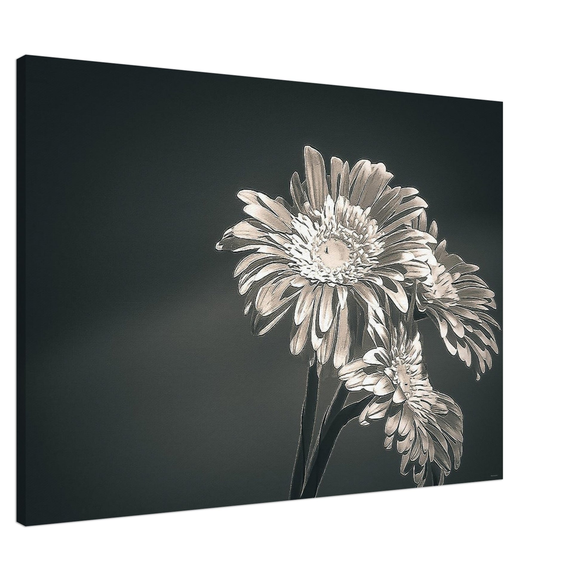 47bb7cf5-96b4-4d38-a64c-6be2b3713d73