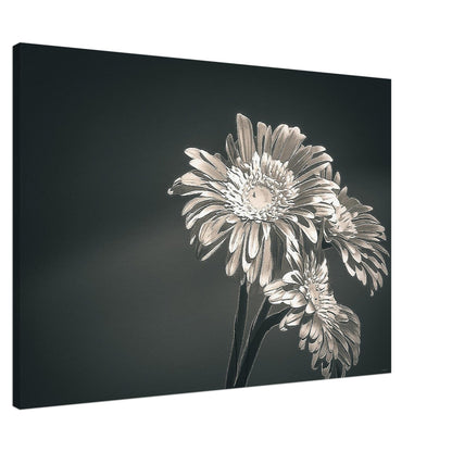 47bb7cf5-96b4-4d38-a64c-6be2b3713d73