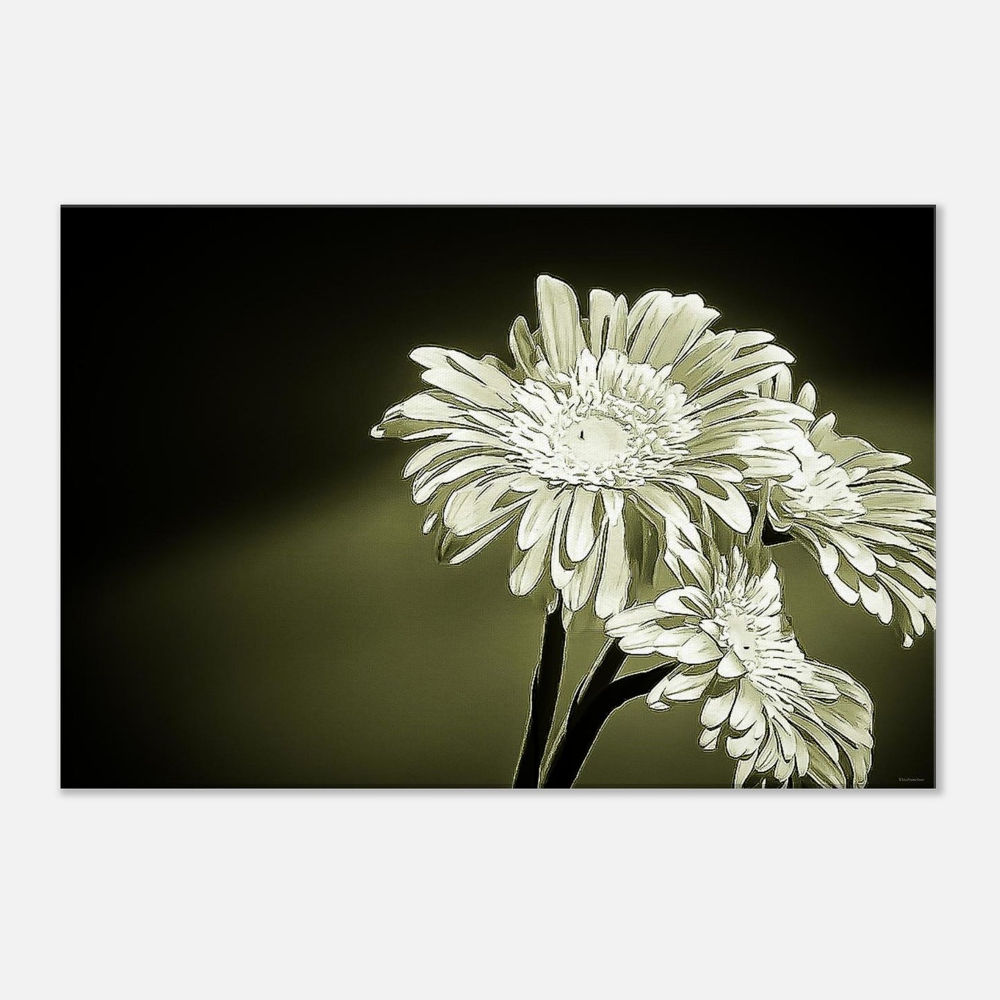 47d5603e-bd98-4f07-8aba-27b92c36ae3c