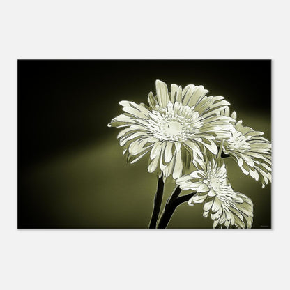 47d5603e-bd98-4f07-8aba-27b92c36ae3c