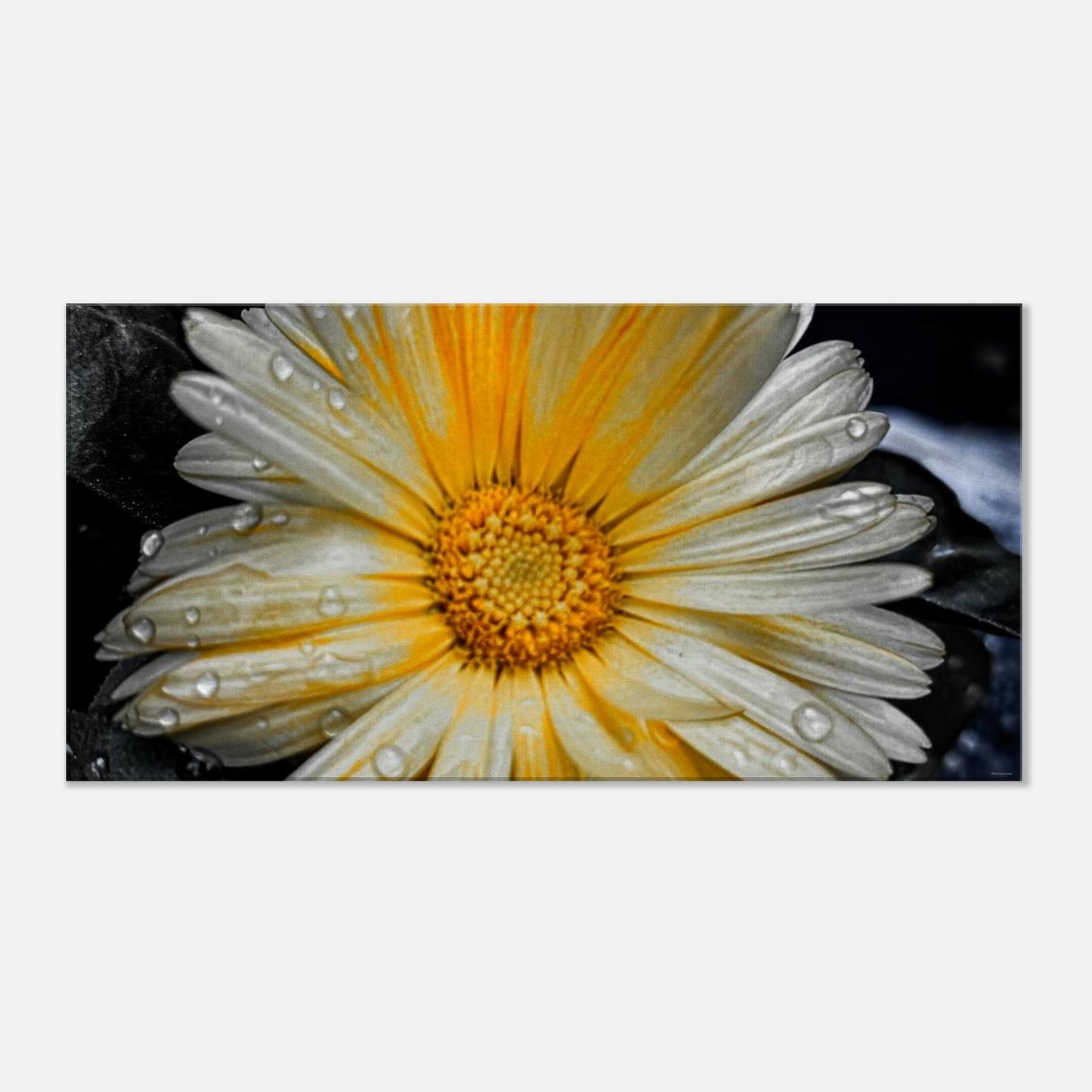 48450a99-dfac-48cc-af5c-300a27fd306b