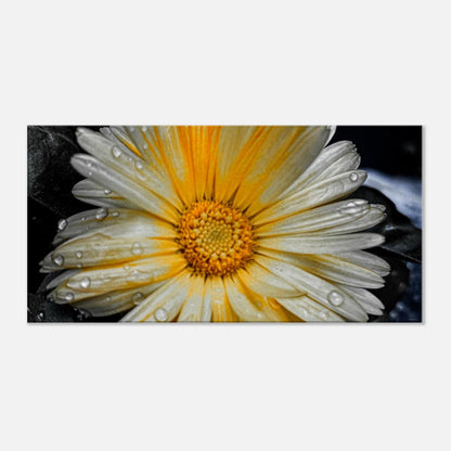 48450a99-dfac-48cc-af5c-300a27fd306b