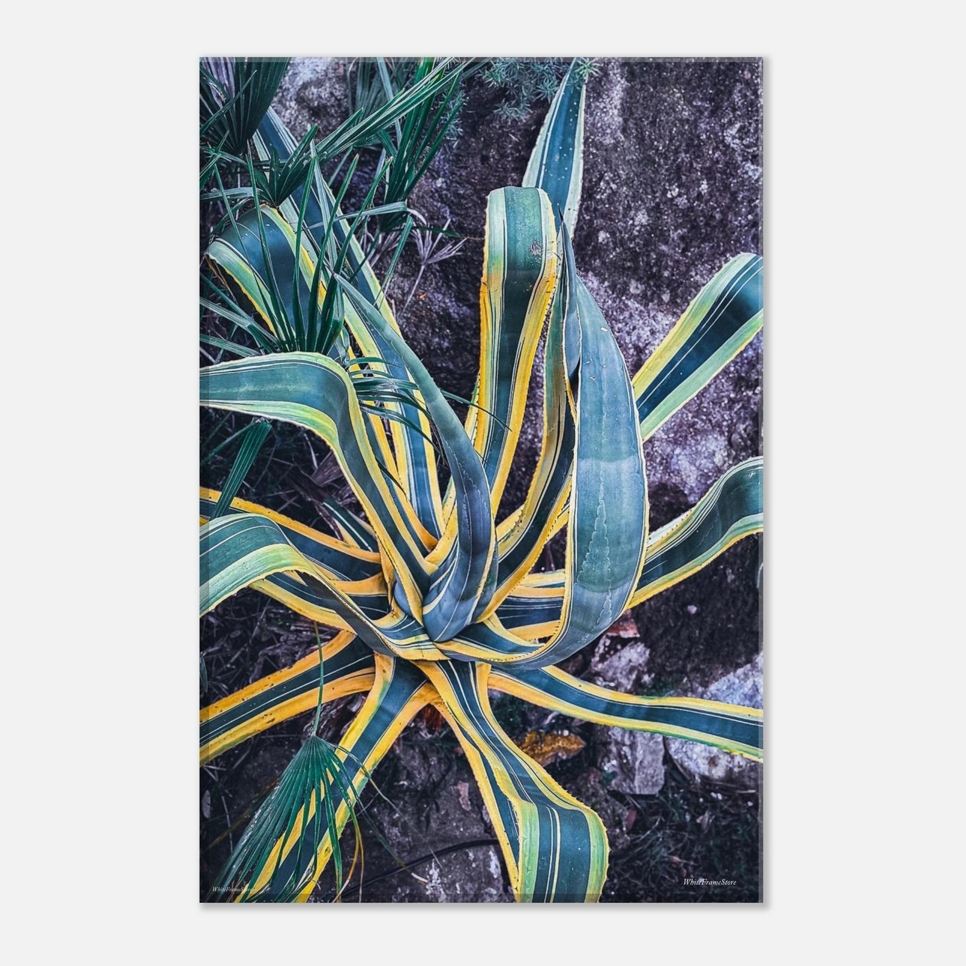 485ceb47-1dd5-45e9-bc98-0f0b9d8d0387