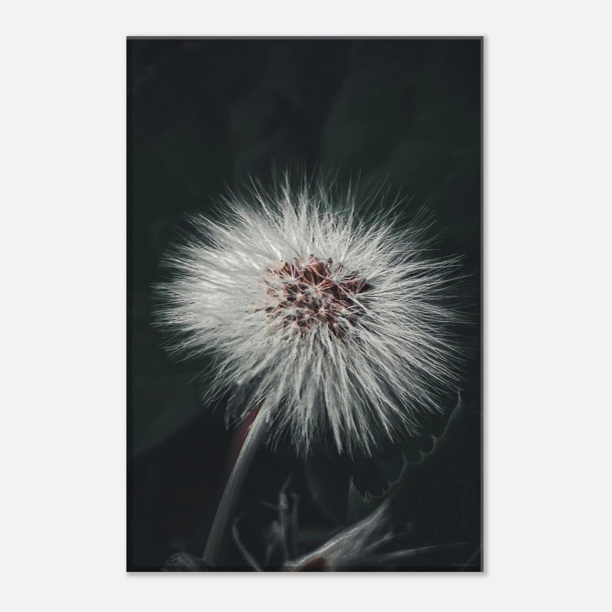 4874c557-ff19-449c-8092-8fcb5e168997