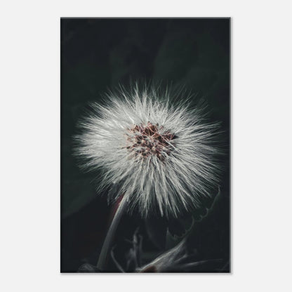 4874c557-ff19-449c-8092-8fcb5e168997