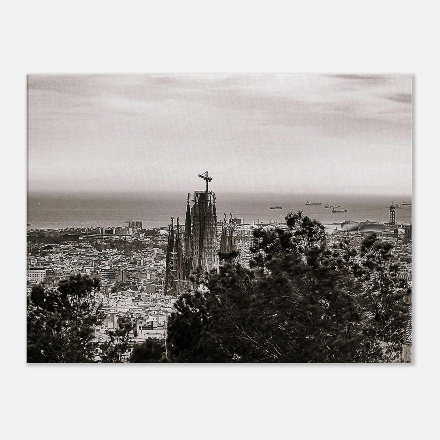 487c77cc-a503-4074-9148-f23f7786aec3