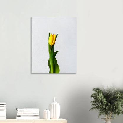 48844cfa-1dcf-47b4-ad21-4c636e17f479