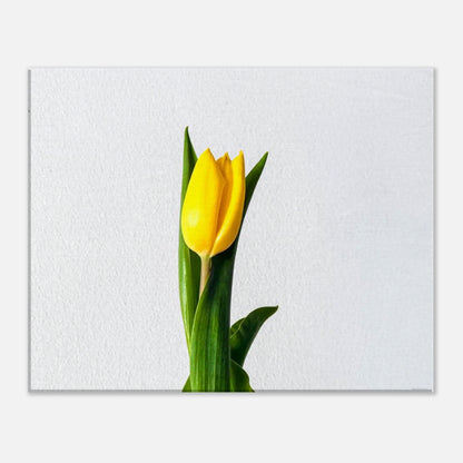 48a6709d-e8cf-44f1-9a20-d3f7321a9fe6