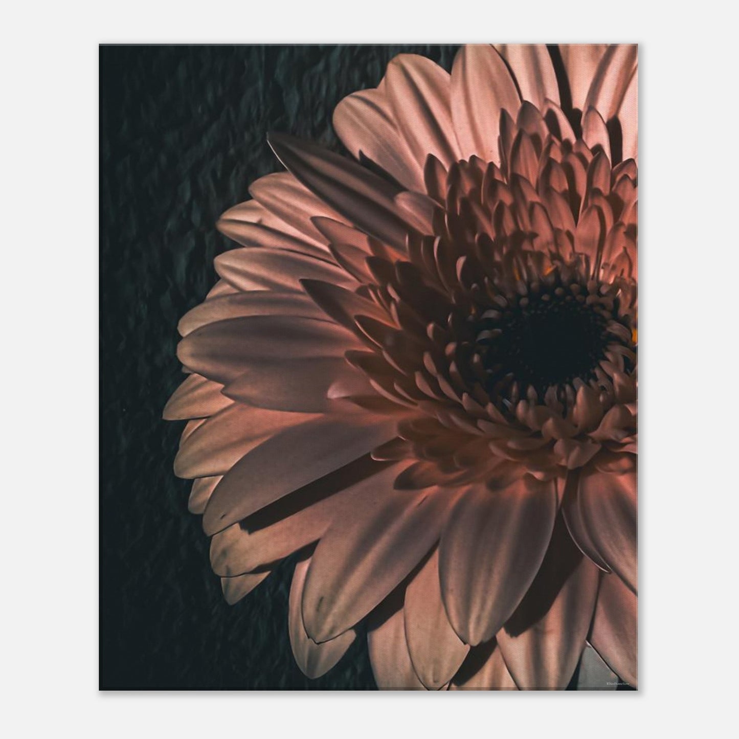 48ceb2ba-72cc-415c-a2e8-d6b0fd77c533