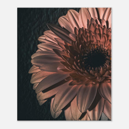 48ceb2ba-72cc-415c-a2e8-d6b0fd77c533