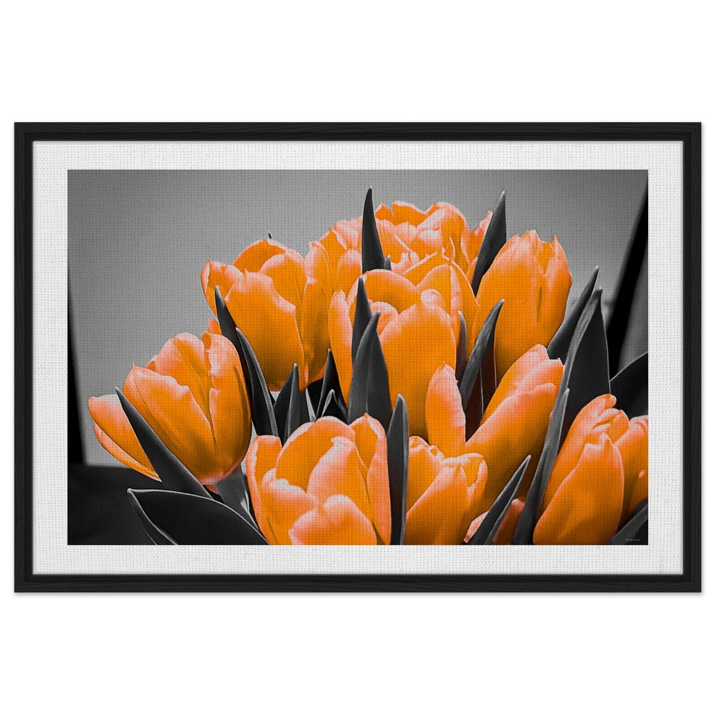 48d88758-89a9-4f71-bc67-7dd6c4e6430c