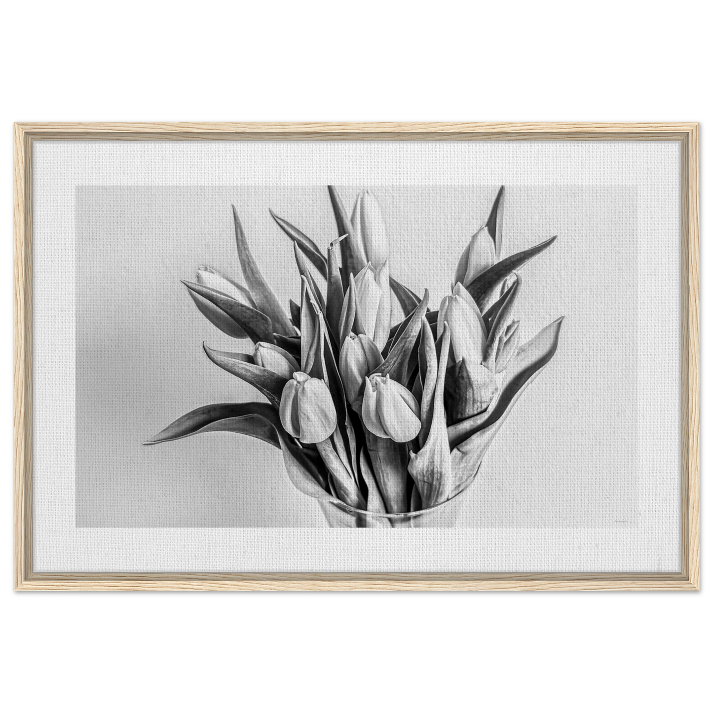 48e1fe31-a449-46cb-8bac-8e6a5d355c46