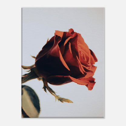 48f913da-2e48-42c4-ae07-9cdd34dc4a0b