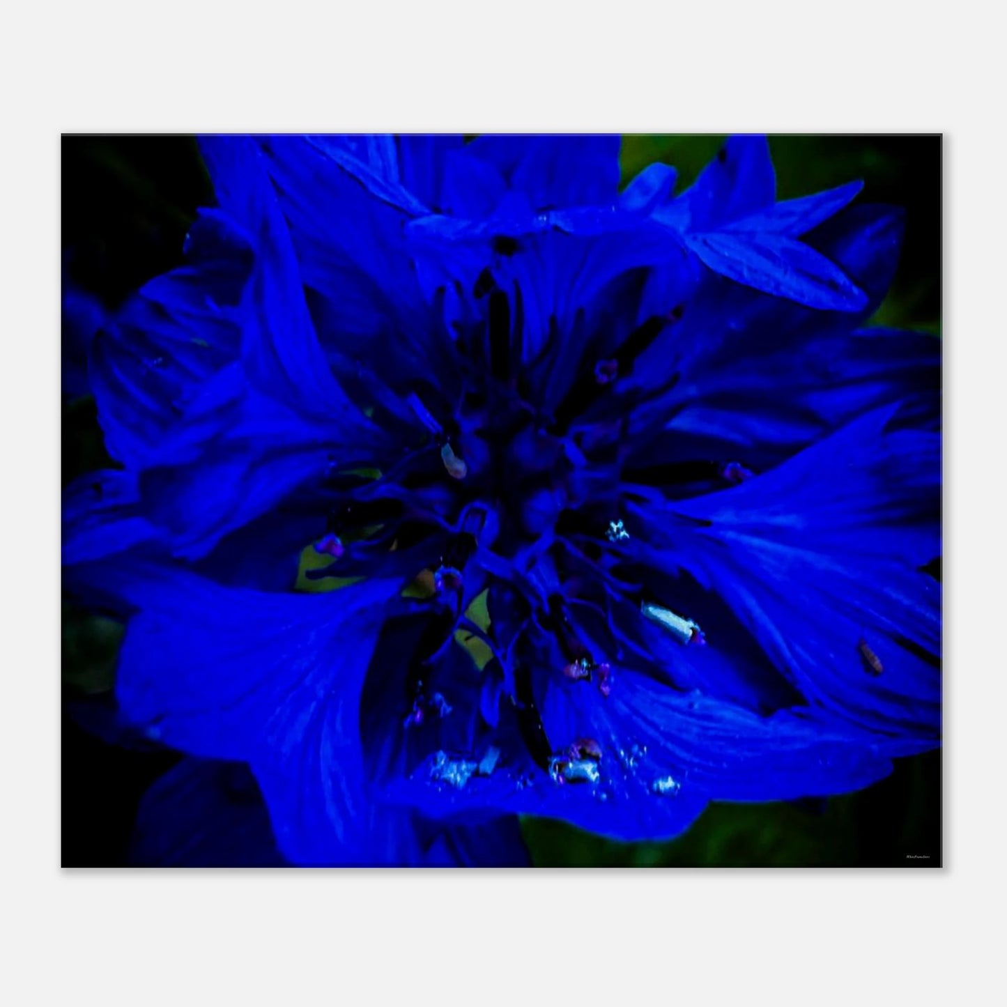 490b4a2a-79e3-426f-b12a-4f51226cd9e6