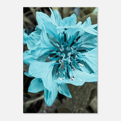 49413301-bd9f-477d-92dd-aee39686157d