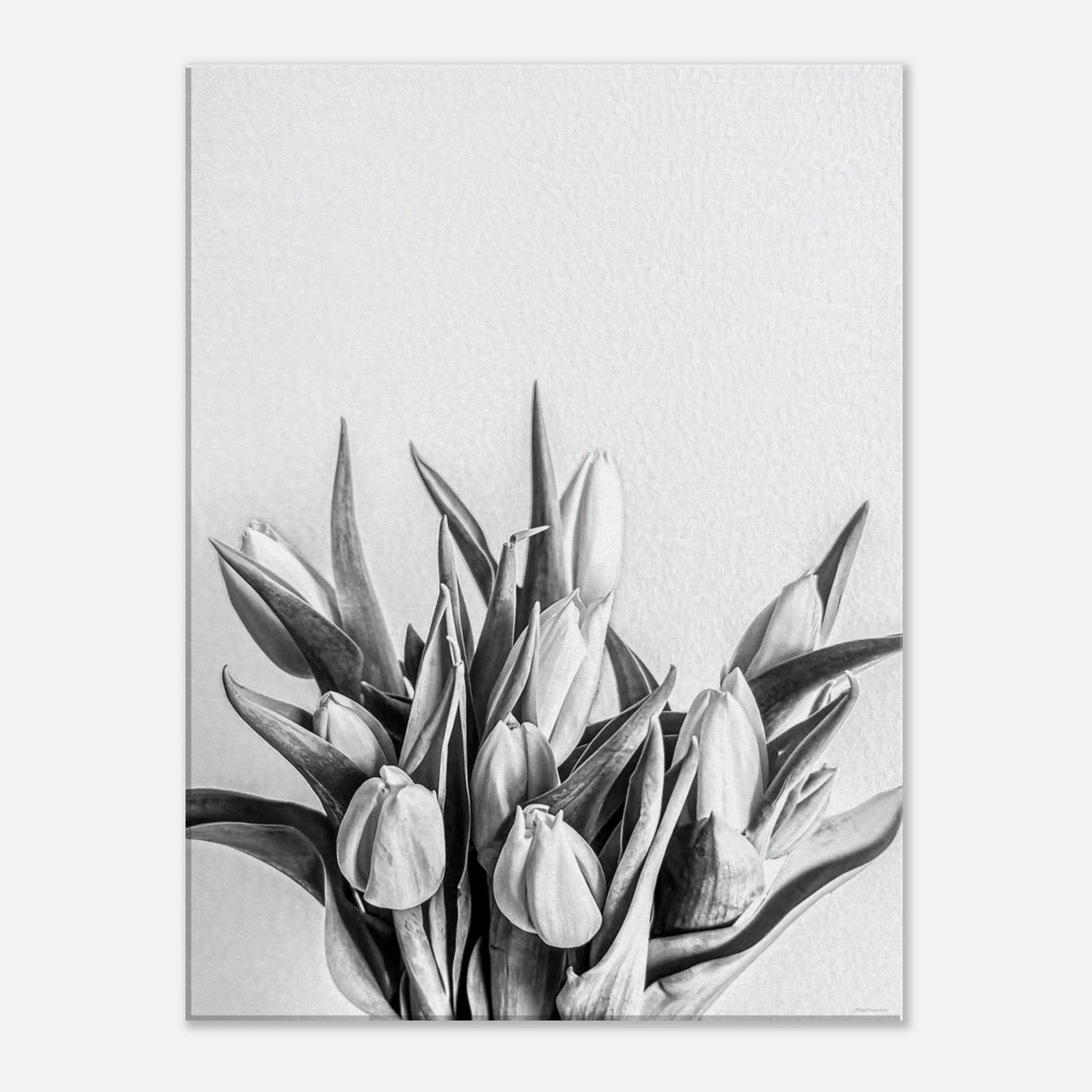 4945294c-7cc4-42e2-8f9a-8f62943e7b65