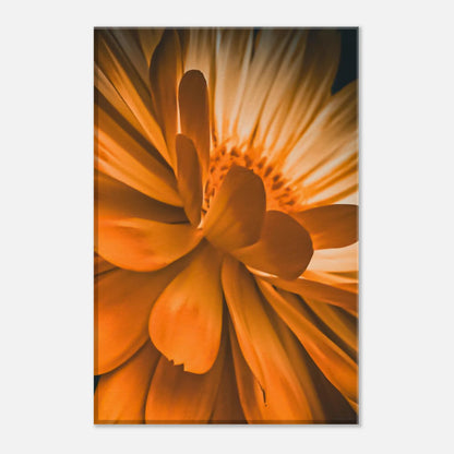 494bab49-6ea9-46c2-99de-1977383b09ab