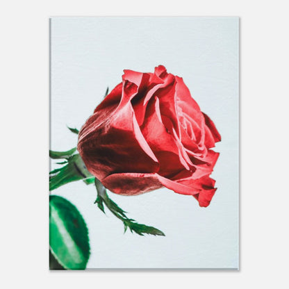 49705aff-f78b-42a9-8d75-ac8917b94d00