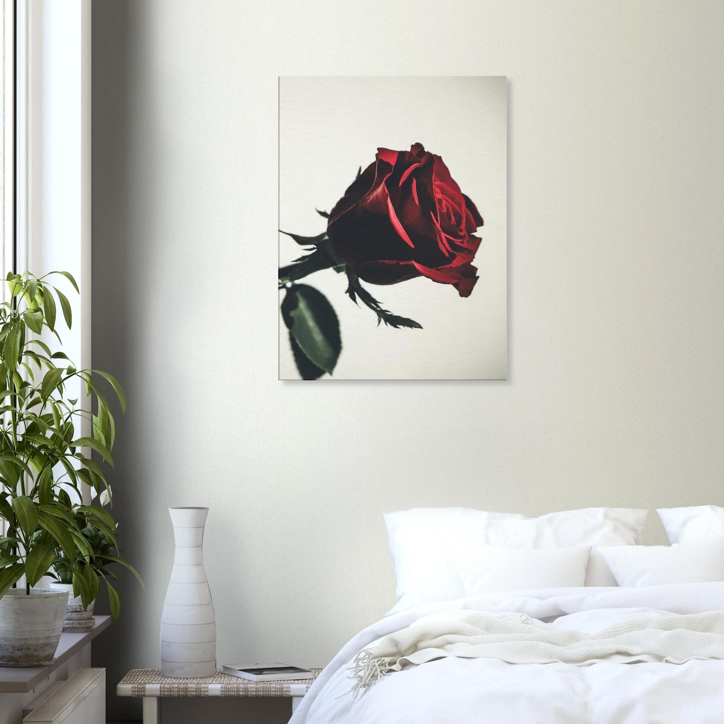 4978da56-e731-4fef-8674-1ffec2edde20