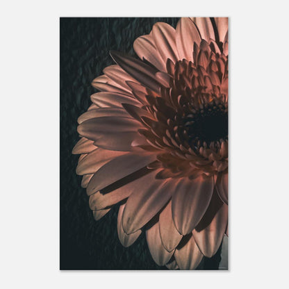 497ba257-23fd-4c7b-a284-b14106e490ec