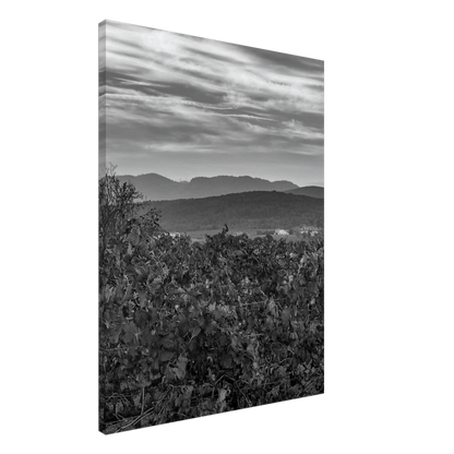 497de9f0-4581-4bfe-b63a-dead6af17e3e