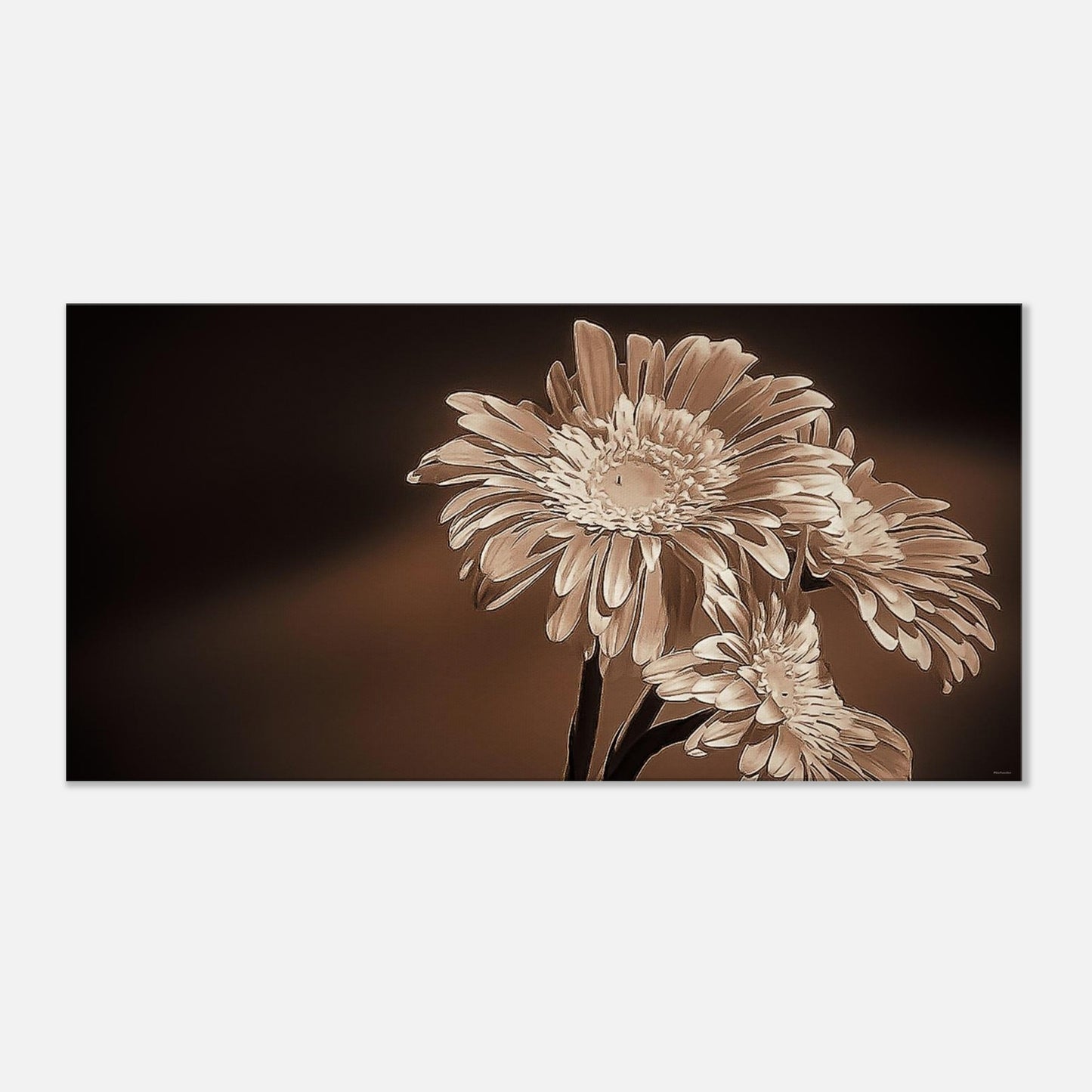 4980ec92-1d99-4f04-9590-0f71170a0393