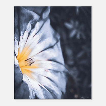 498249aa-5b78-42e4-9418-6860bf619eb2