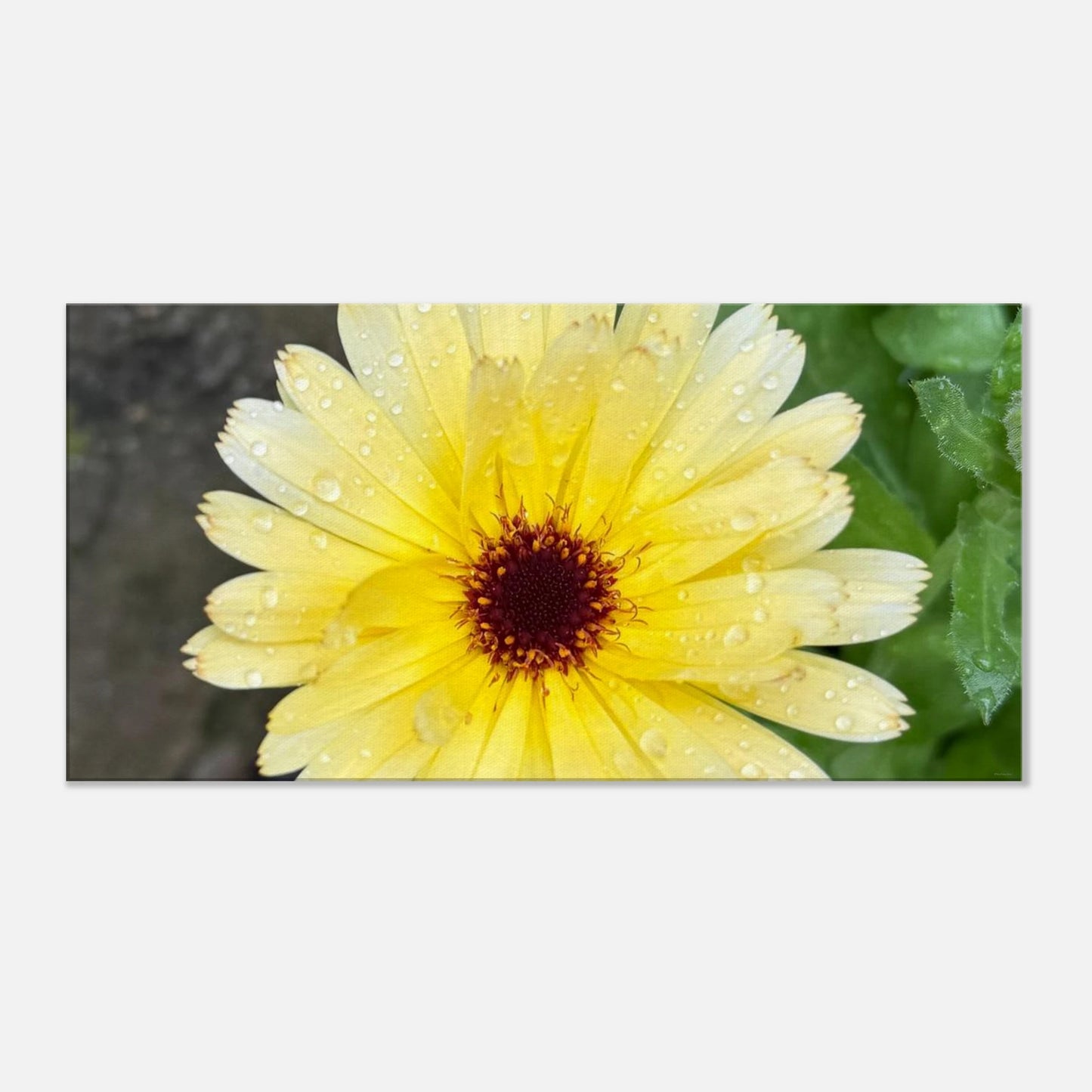 4997e666-47bb-4a51-8d1e-b1c792732ebd