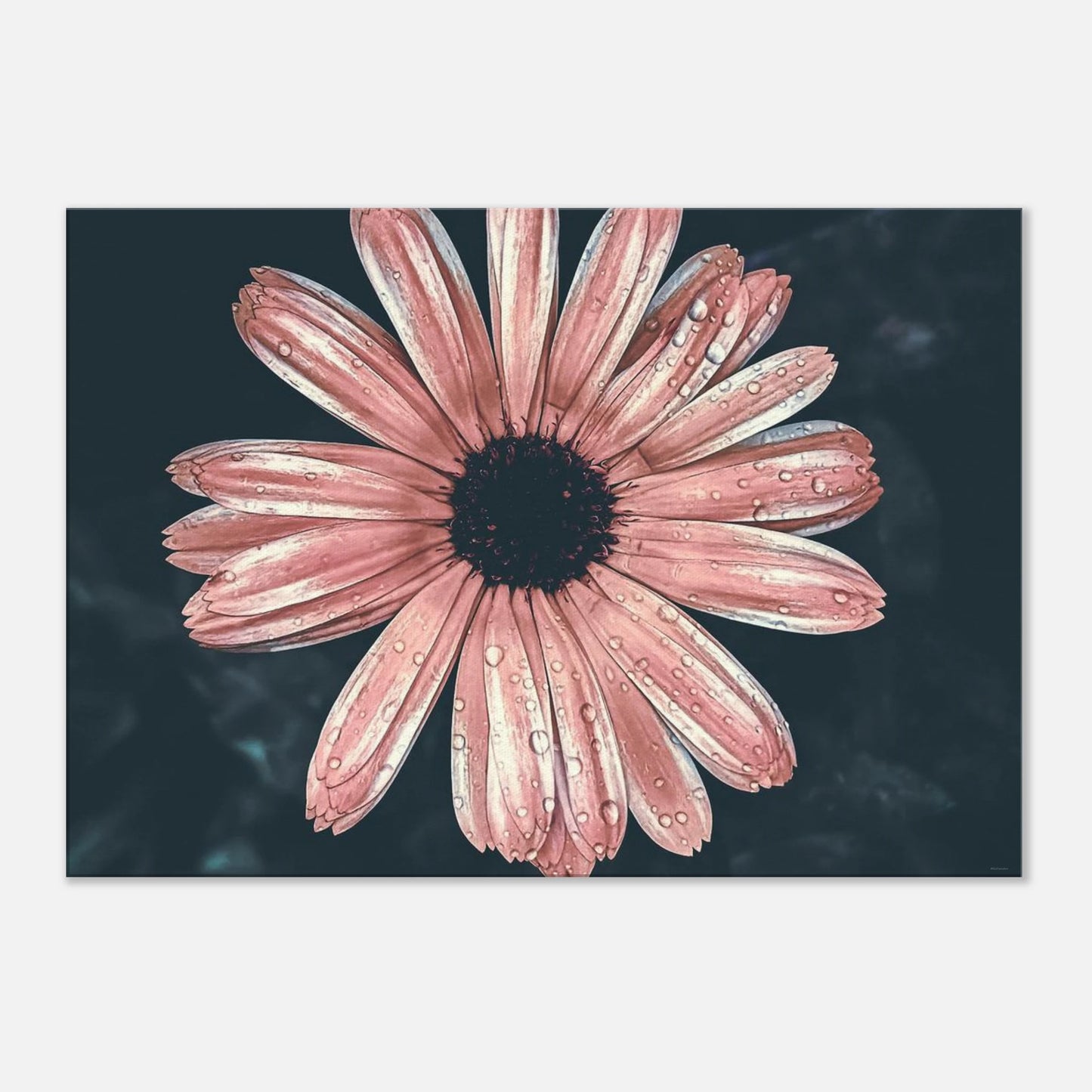 49a78d1b-c8af-4a89-aebd-db38190e2aa0