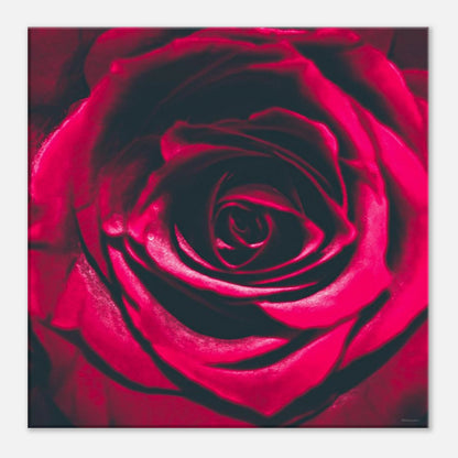 49a9afc6-2481-4f89-bd04-508faad0c9b6