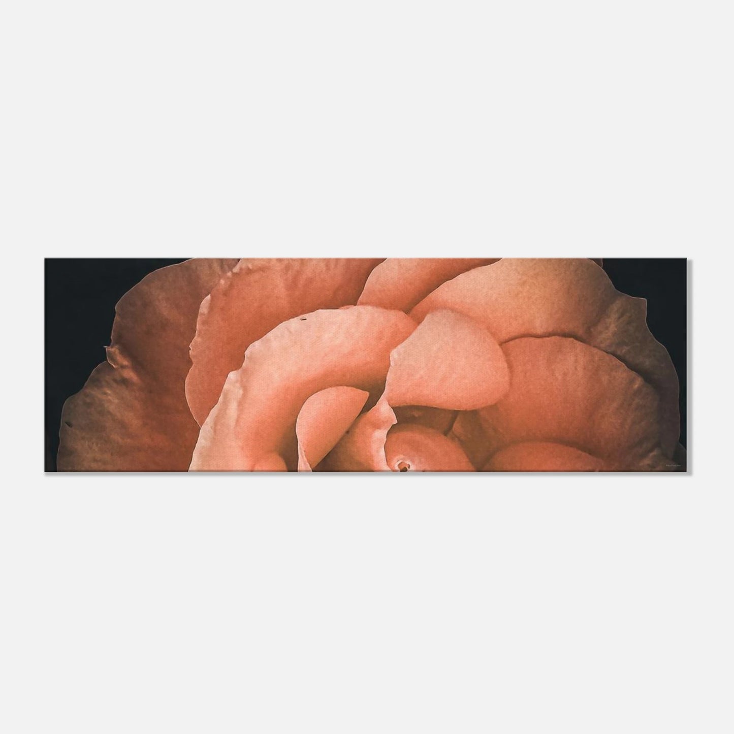 49c7609f-dfd1-4709-a865-b4cbb22376e1