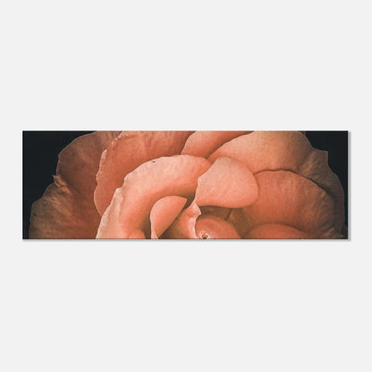 49c7609f-dfd1-4709-a865-b4cbb22376e1