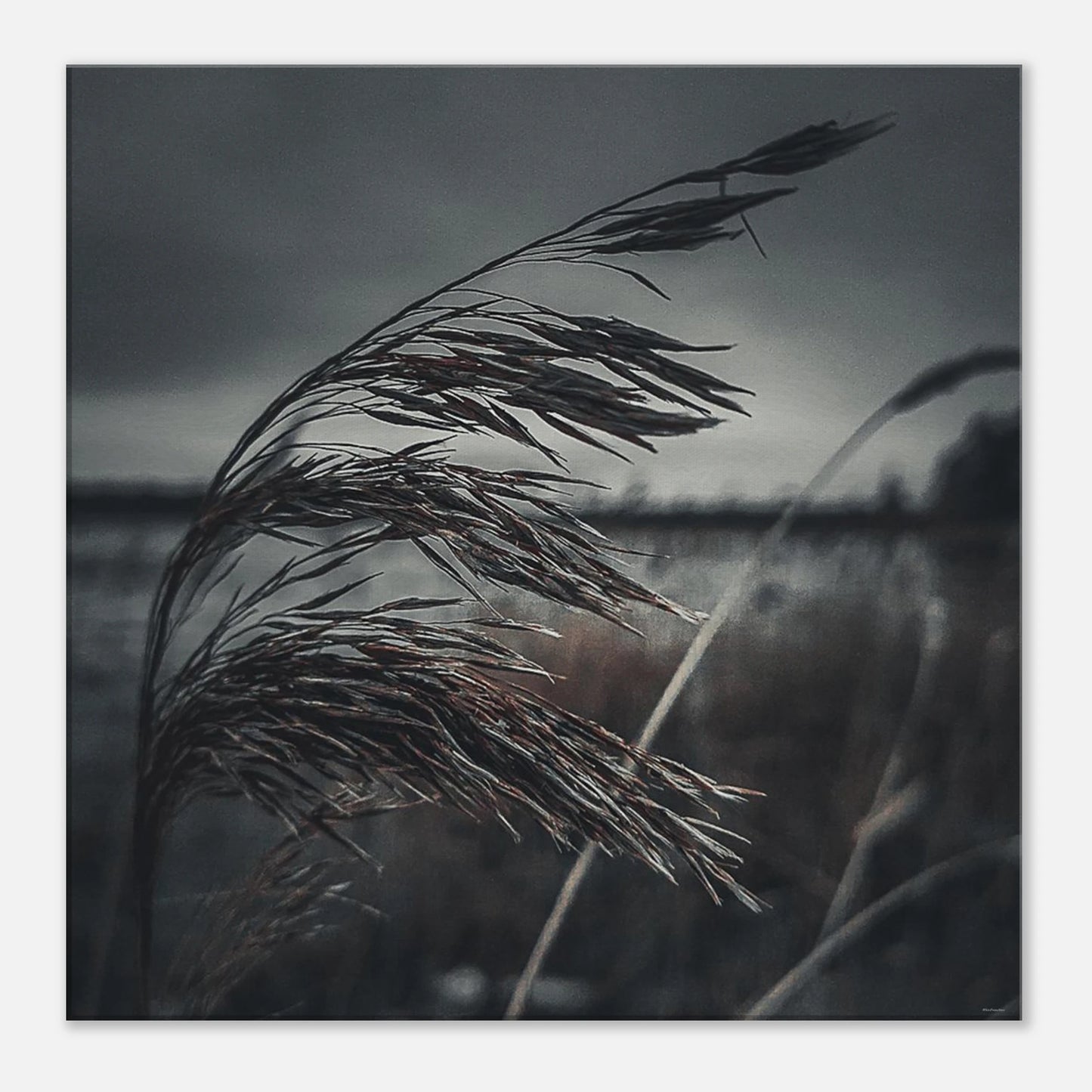 4a438813-80b8-4428-8e96-22b13cf3cafc