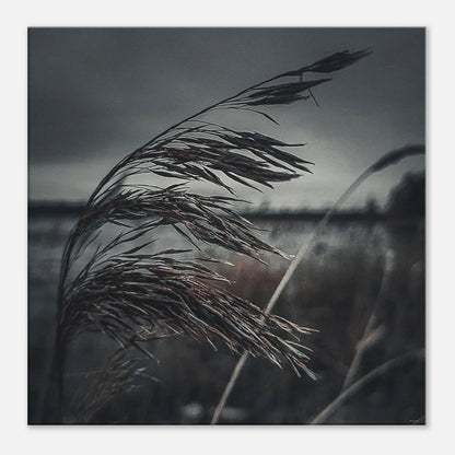 4a438813-80b8-4428-8e96-22b13cf3cafc