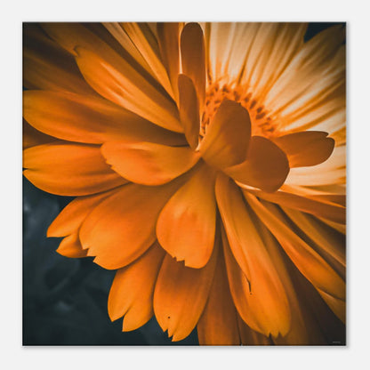 4a4dbe34-9613-4e5d-a661-d9a2e3e86003