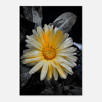 4a837571-6a40-4776-9881-5235d09a7580