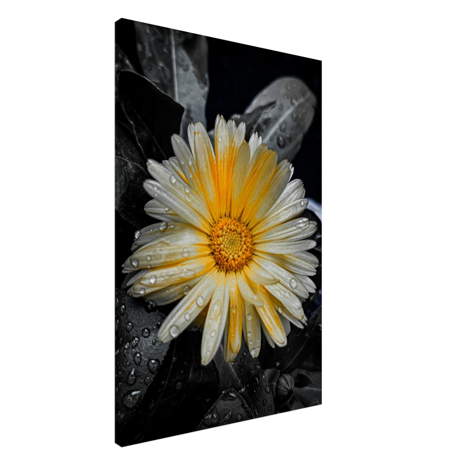 4a99f78f-cee2-4975-b5fc-a4f932c3bb3b