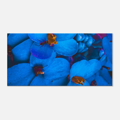 4a9c52b4-16c9-48f4-9157-0ecff3808d26