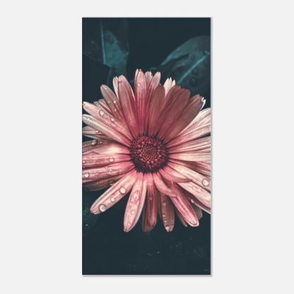 4aa3b8f8-5e5e-4d4e-82c3-6dfc88f5f9c0