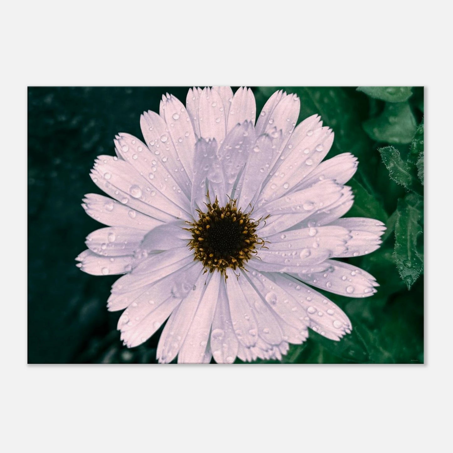 4ac059ed-54a8-4f7f-b69c-473b662f5ec5