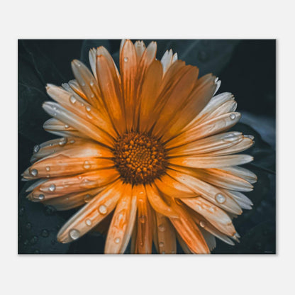 4ac80e9d-dbdf-4b3f-98a4-5862f9976bb1