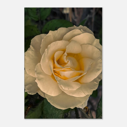 4ad01d8e-79d2-451b-8c37-722b2e83ff1e