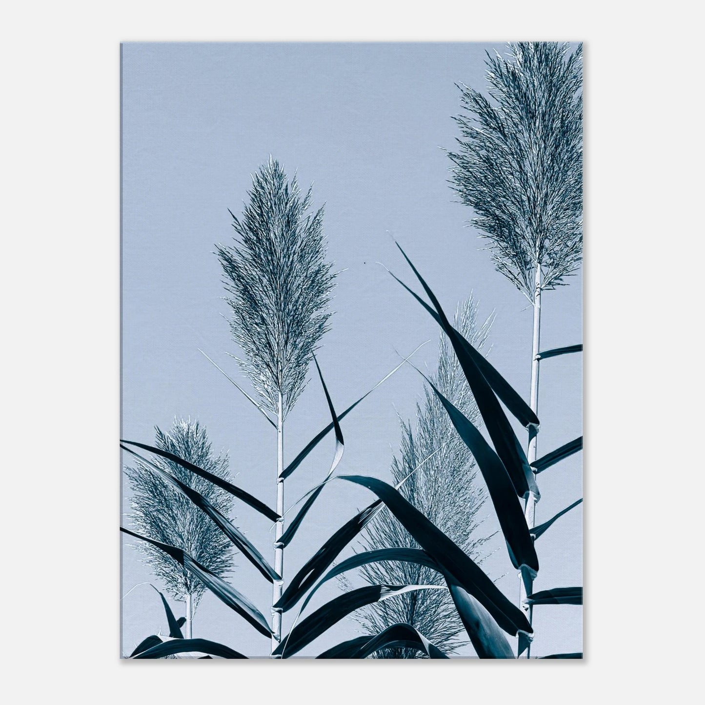 4ad14000-f356-4651-8e29-0f3a5f784d3b