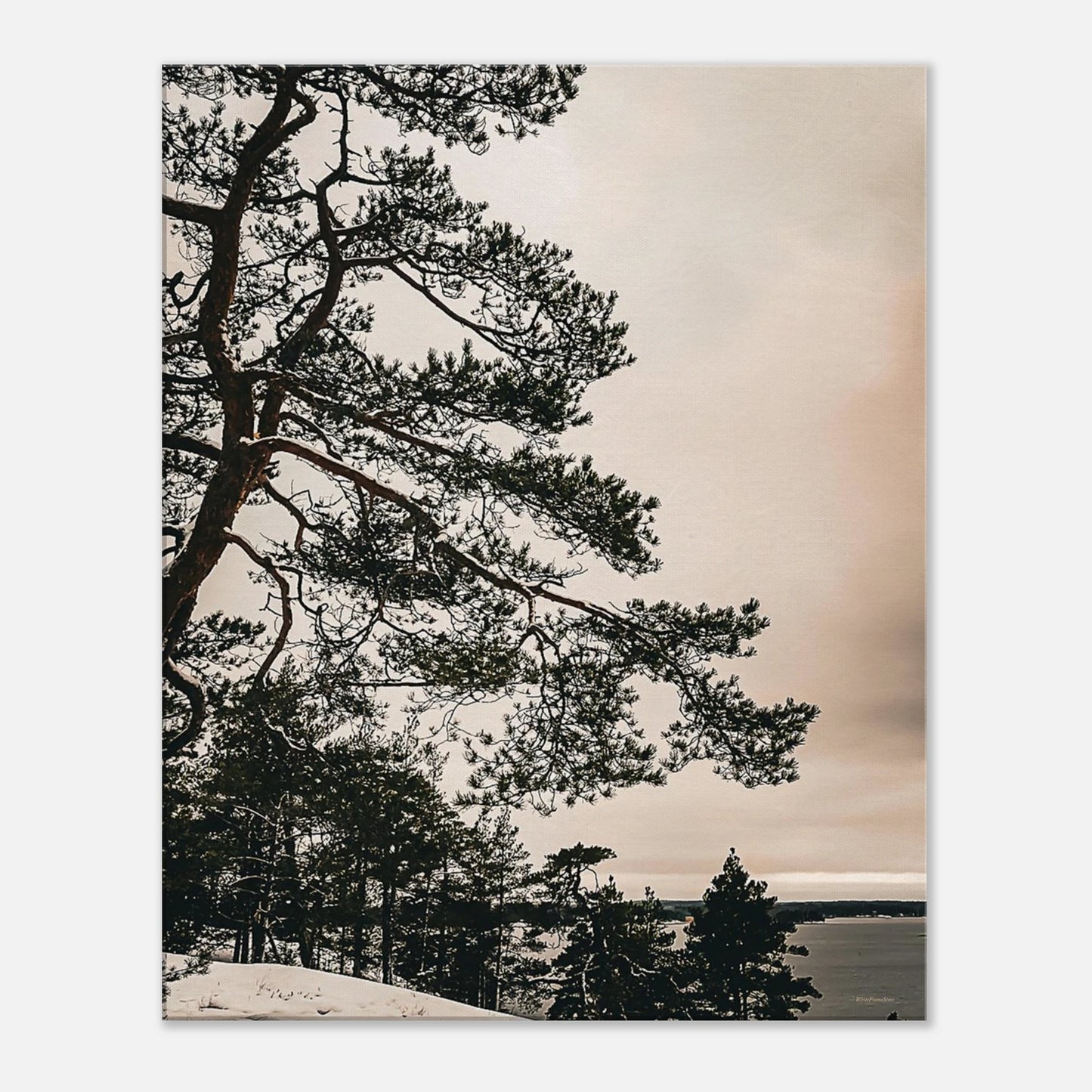 4ae9c351-db7f-448c-9b23-e647648175ad