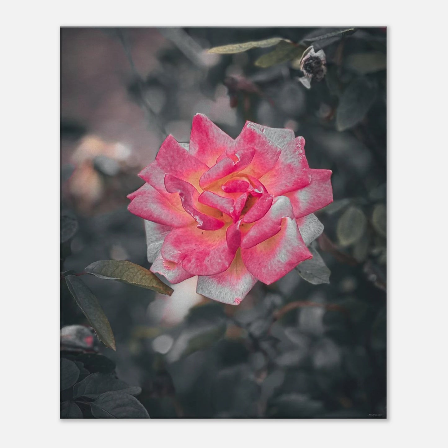 4b31694f-23ee-4ecf-8155-5c70e39f2a13