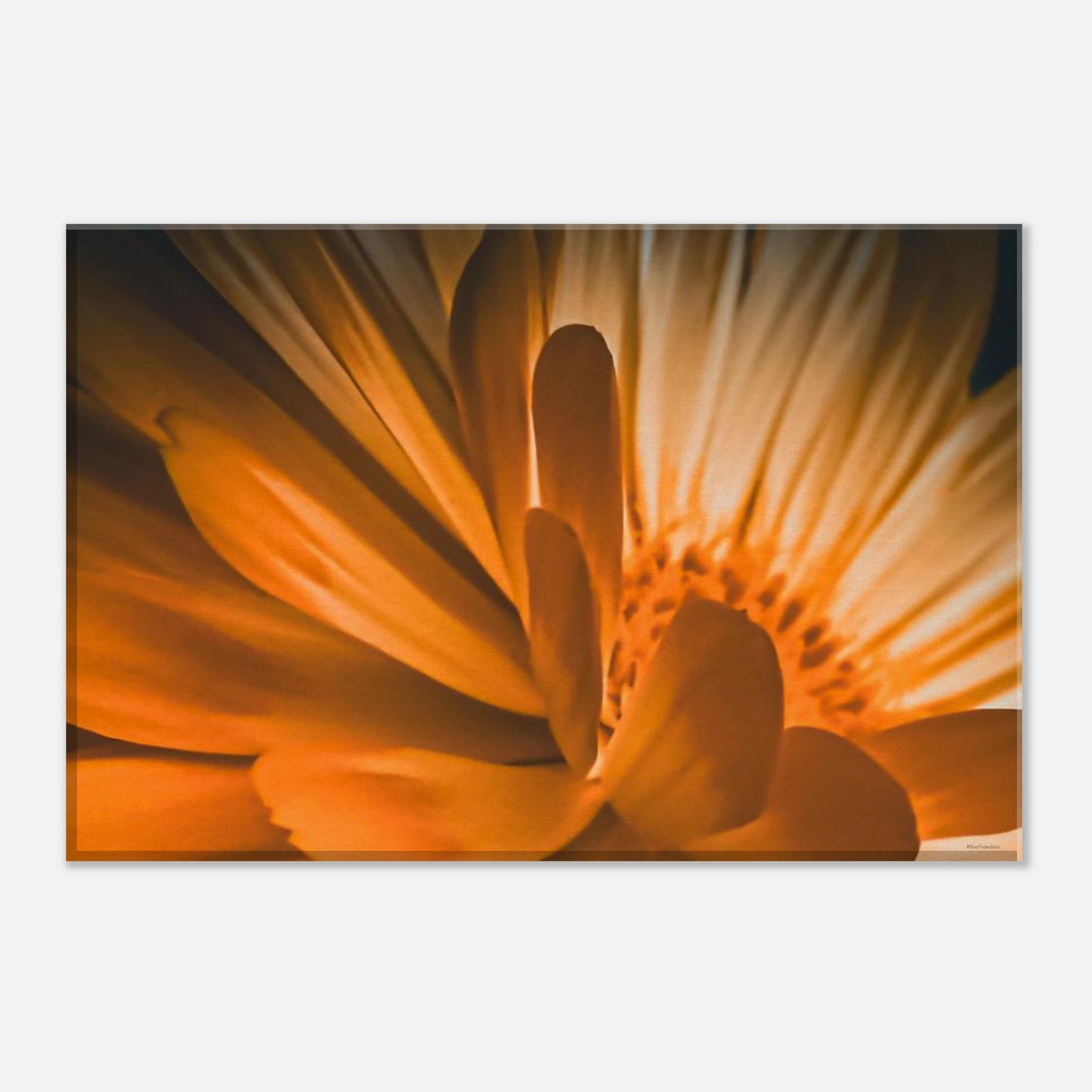 4b47aac2-084e-4f53-be9e-37857075667e