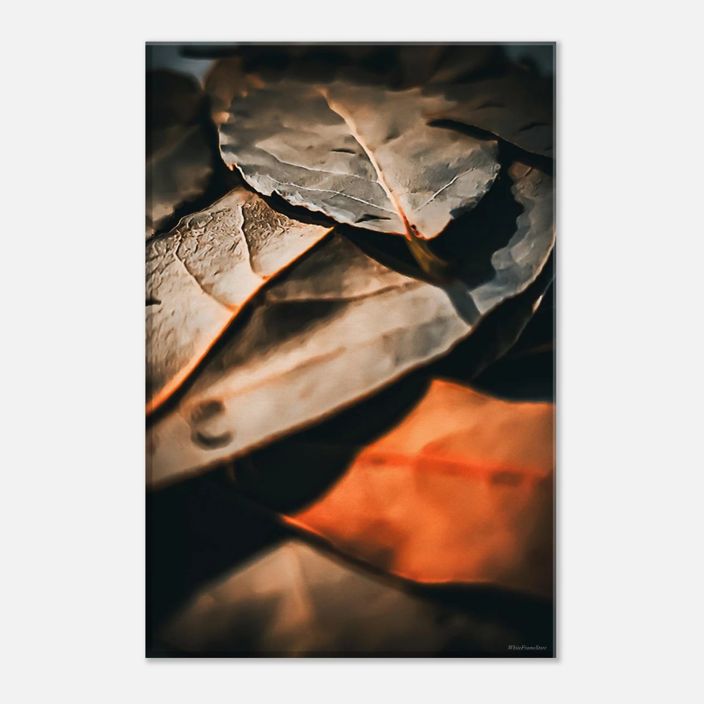 4b642e21-6f6e-4341-a322-d8bc90413c2f