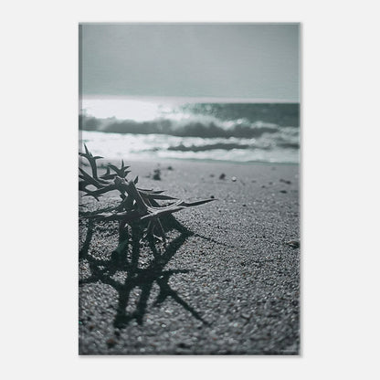 4b720d39-1977-4b3c-90d2-ceff86909668