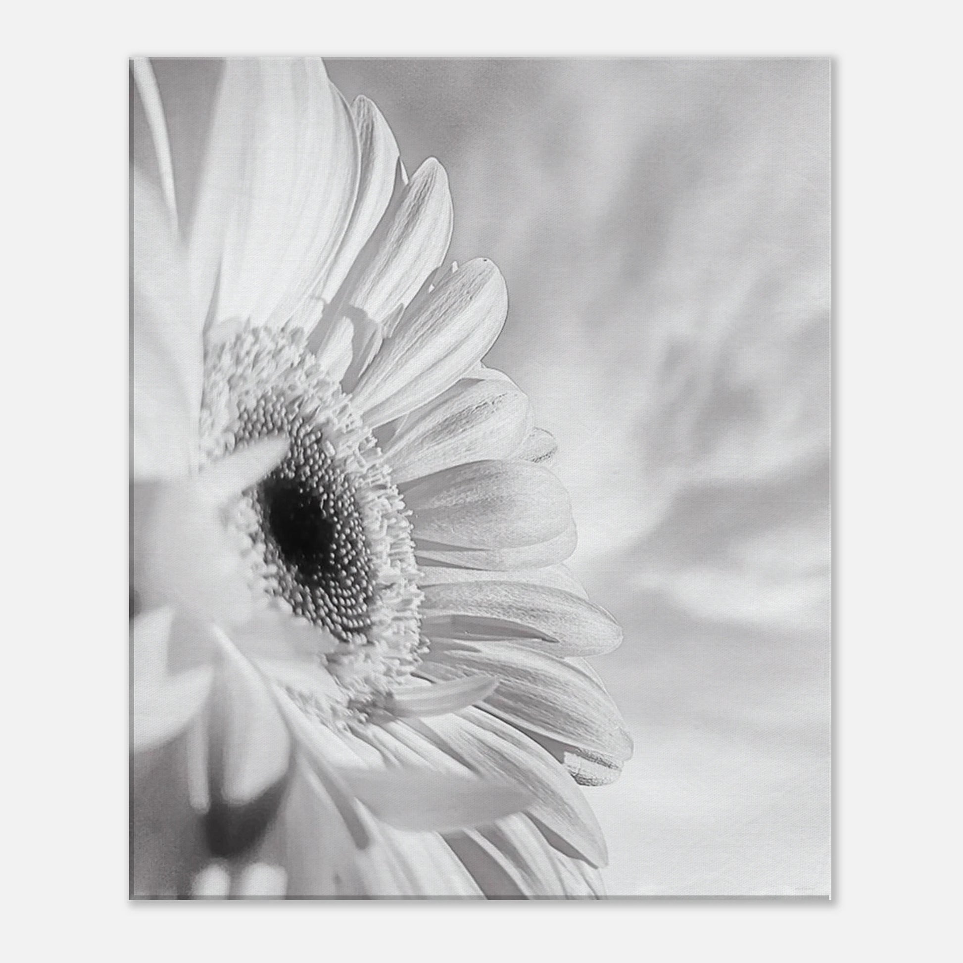 4b9369d4-4d30-43bb-8a77-992073f22cf4