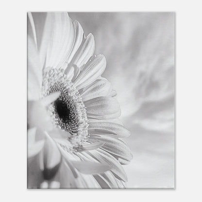 4b9369d4-4d30-43bb-8a77-992073f22cf4